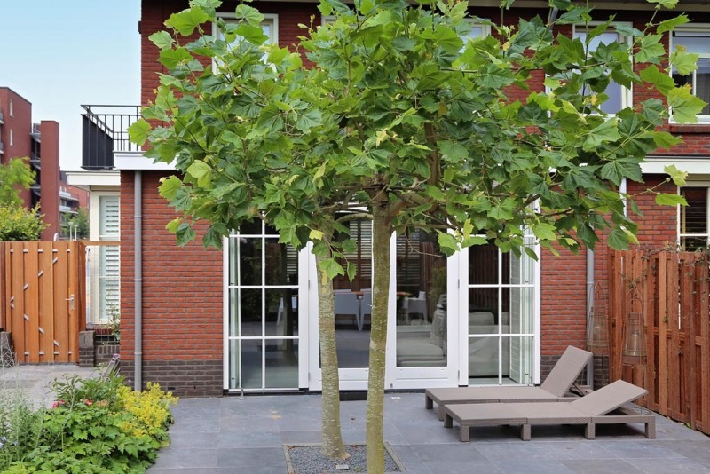 Dakkapel-aan-de-achterzijde-03