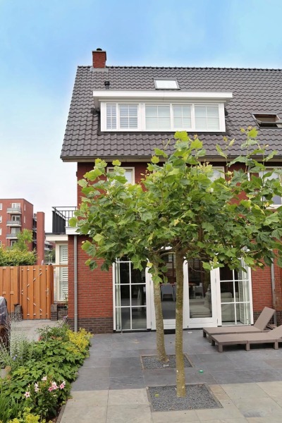 Dakkapel-aan-de-achterzijde-04